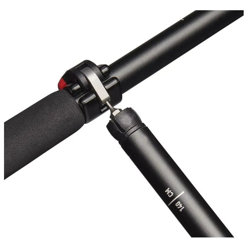 Black Diamond Bastones de trekking Pursuit (Black Octane)