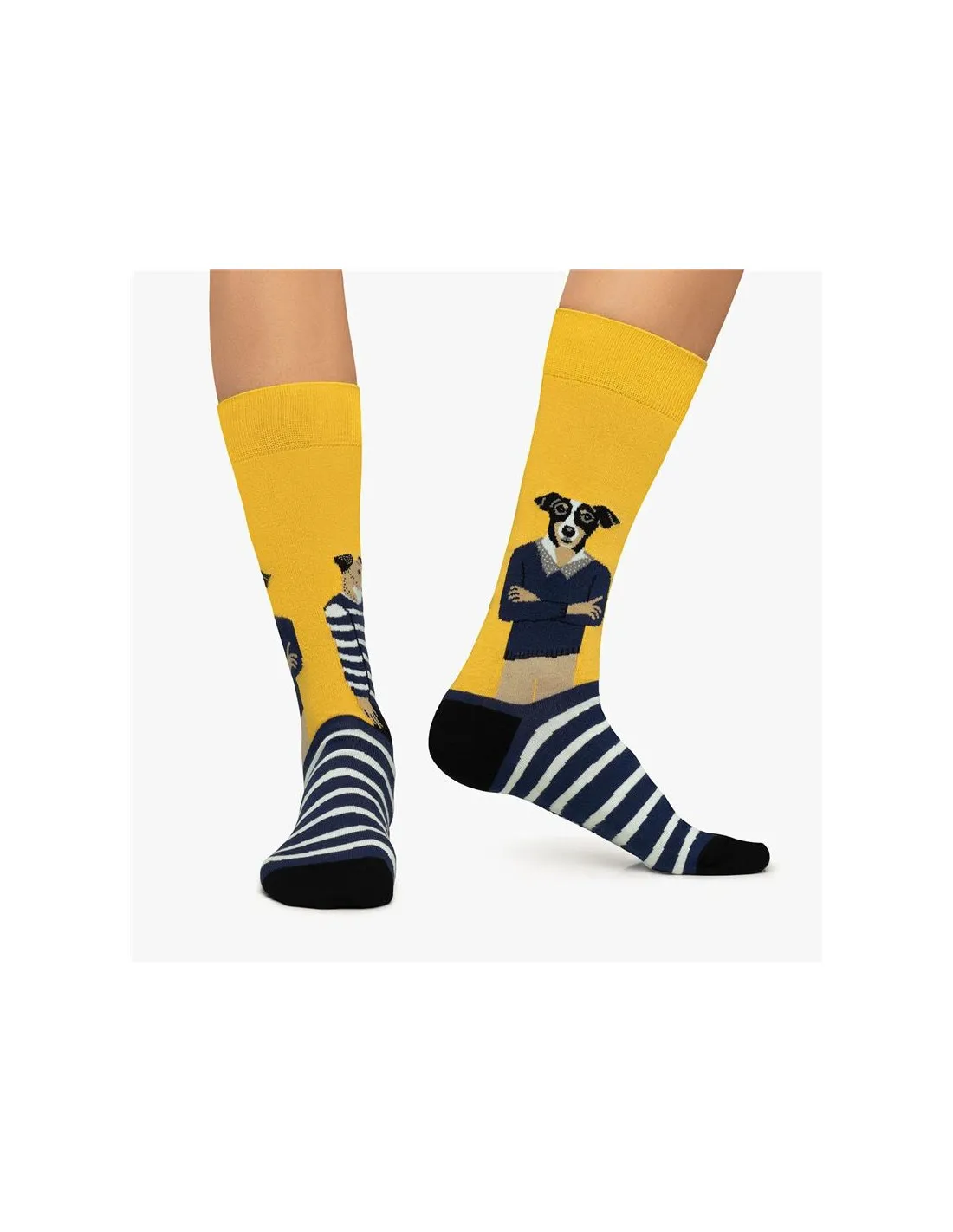 Calcetines Jimmy Lion The Dreamer Amarillo