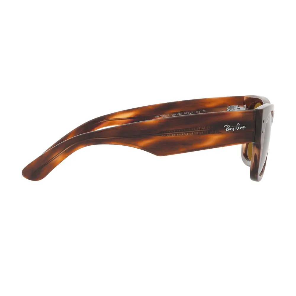 Lentes Ray Ban 0RB0840S