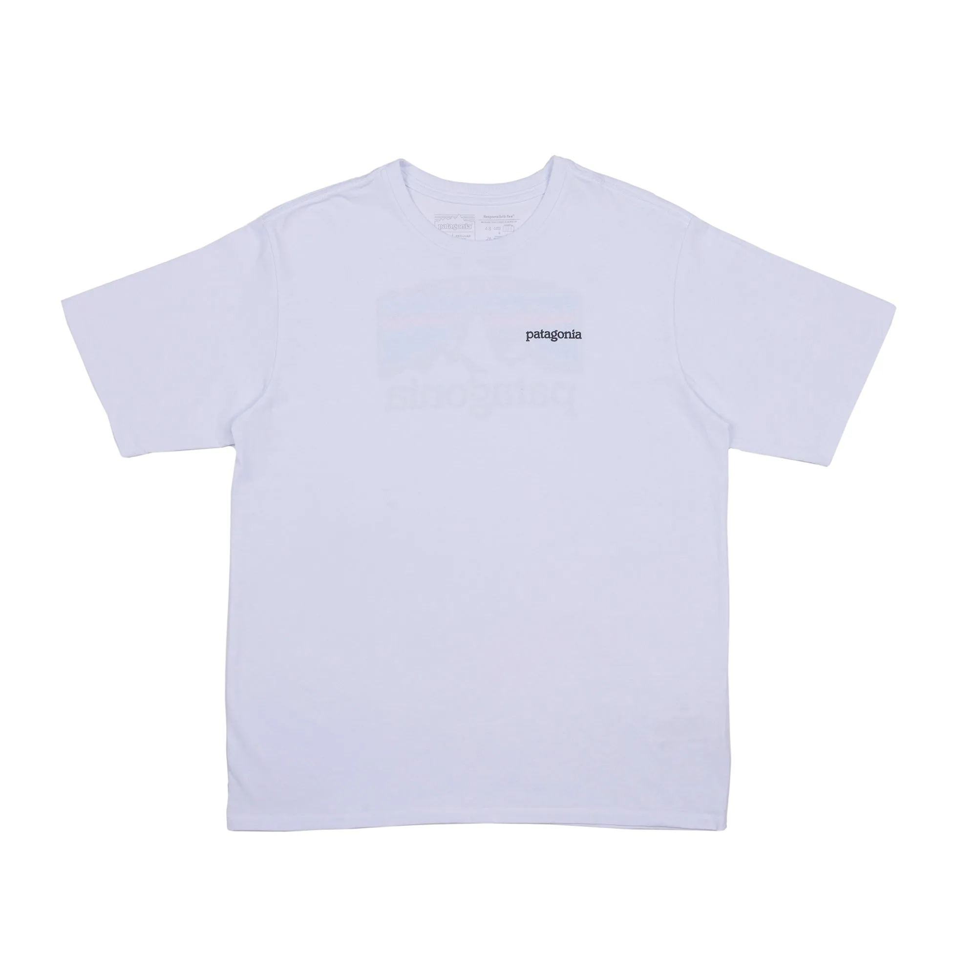 POLERA HOMBRE FITZ ROY HORIZONS RESPONSIBILITEE®  USADO (EXCELENTE)
