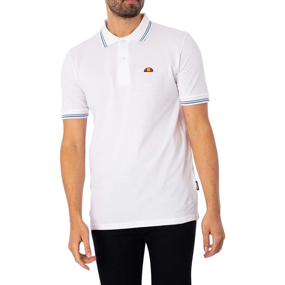 Polo Rooks