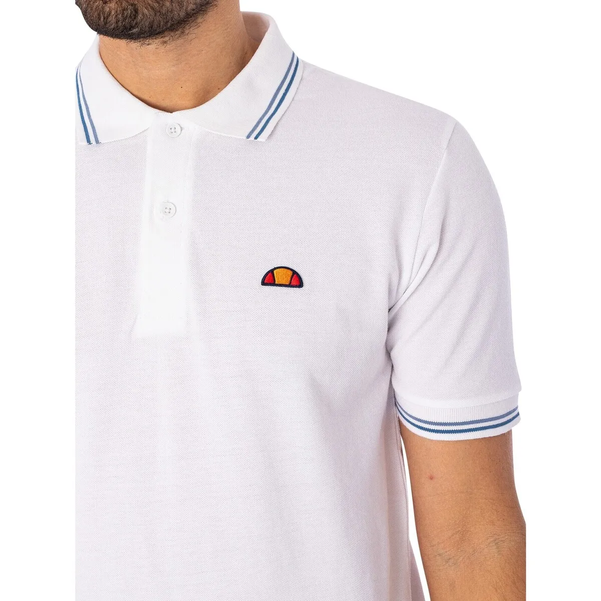 Polo Rooks