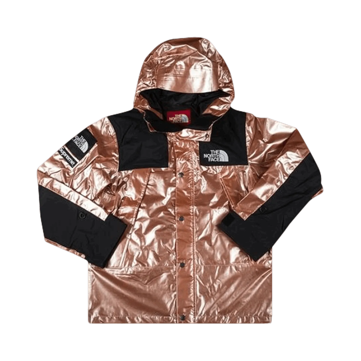 Supreme The North Face x Metallic Mountain Parka